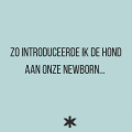 Zo introduceerde ik de hond aan onze newborn…